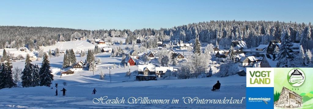 Ferienhotel Muehlleithen Klingenthal Extérieur photo